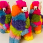 Rainbow Alpaca
